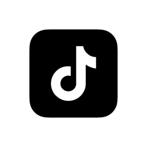 500 Fresh TikTok account with Recovery